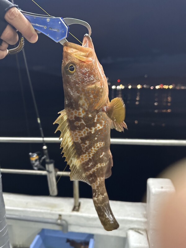 釣果写真