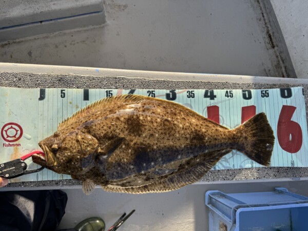 釣果写真