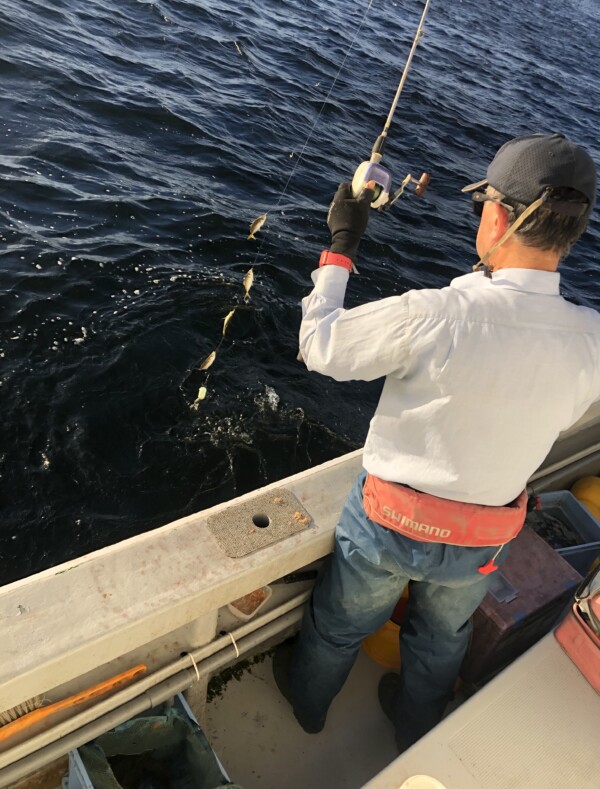 釣果写真