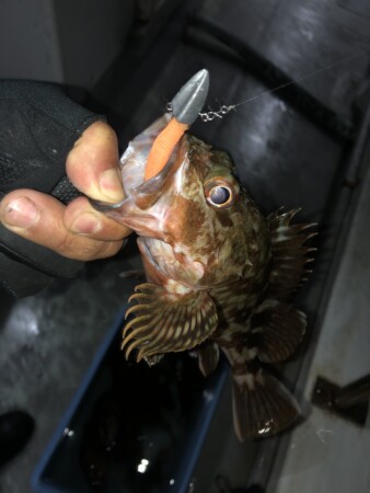 釣果写真