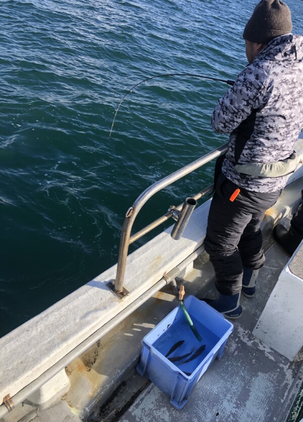 釣果写真