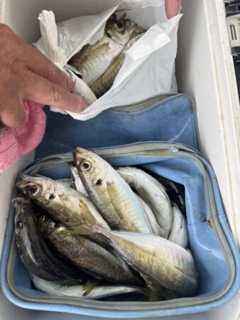 釣果写真