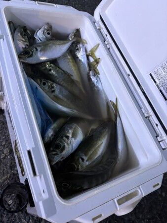釣果写真