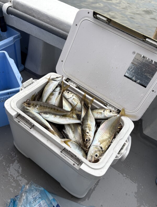 釣果写真