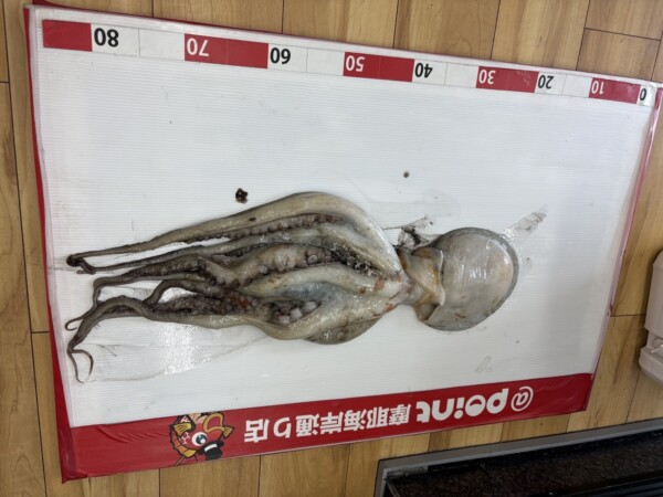 釣果写真