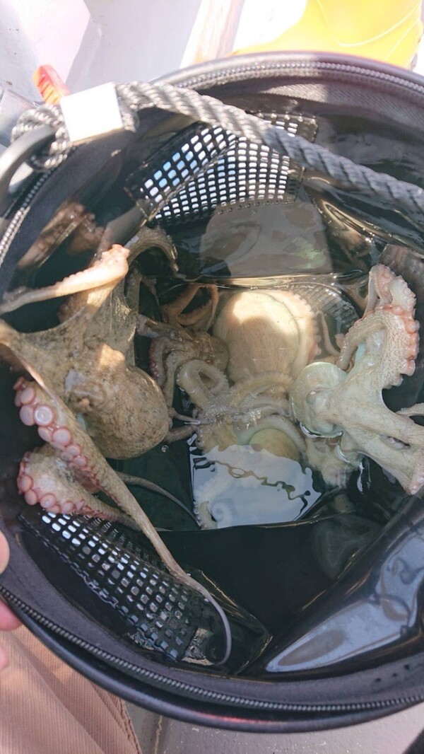 釣果写真