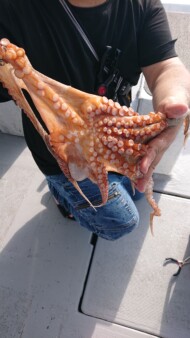 釣果写真