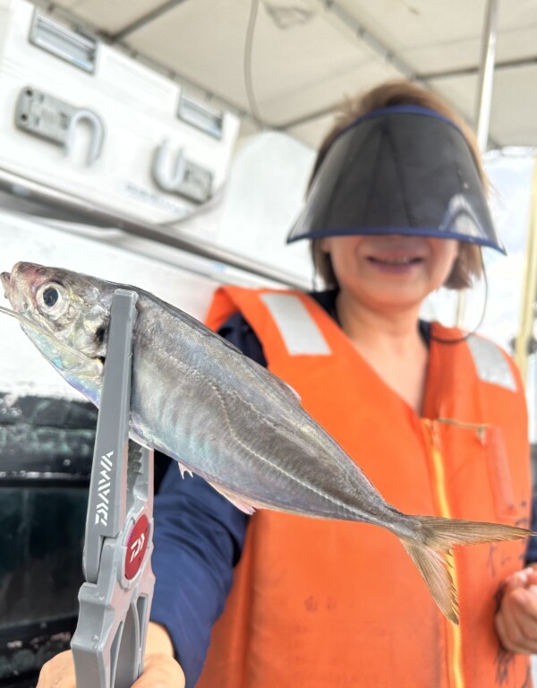 釣果写真