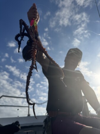 釣果写真