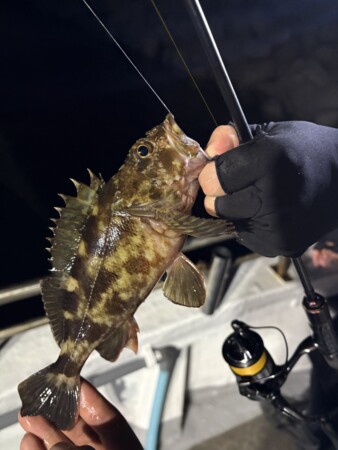 釣果写真
