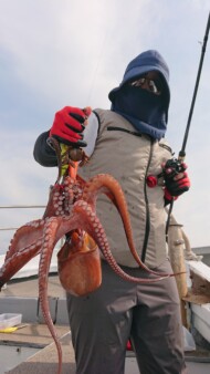 釣果写真