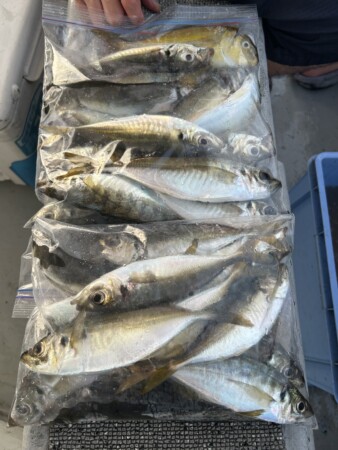 釣果写真