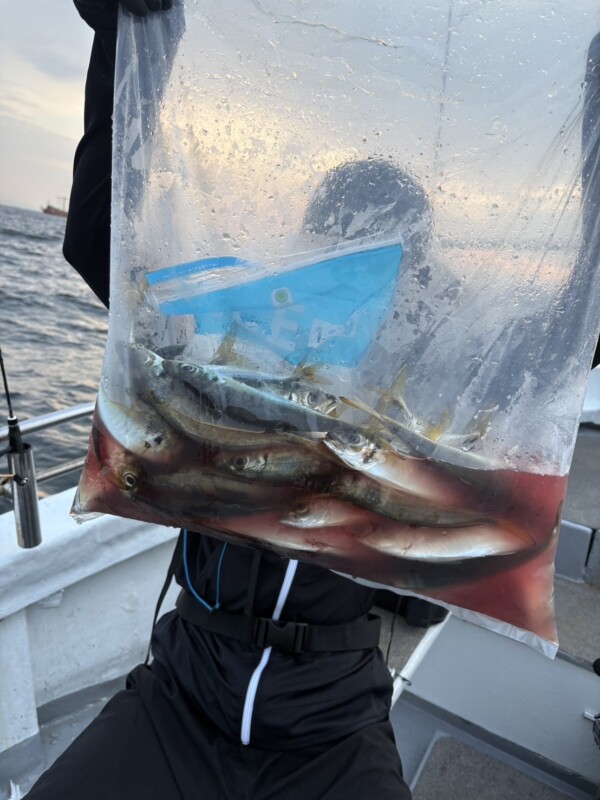 釣果写真