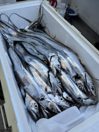 釣果写真
