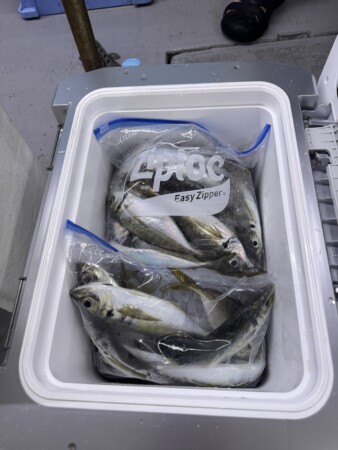 釣果写真