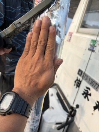 釣果写真