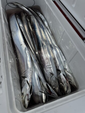 釣果写真