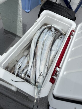 釣果写真
