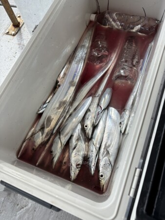 釣果写真