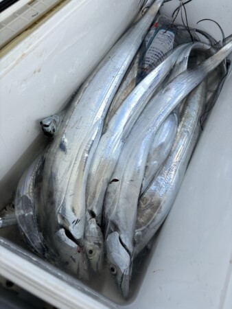 釣果写真