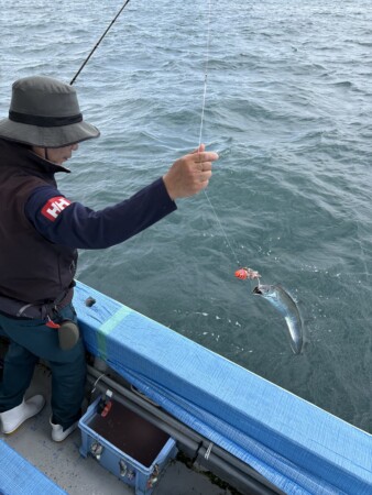 釣果写真