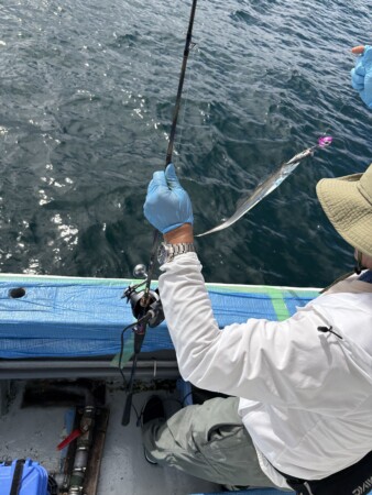 釣果写真