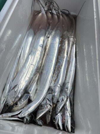 釣果写真