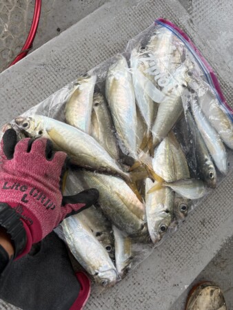 釣果写真