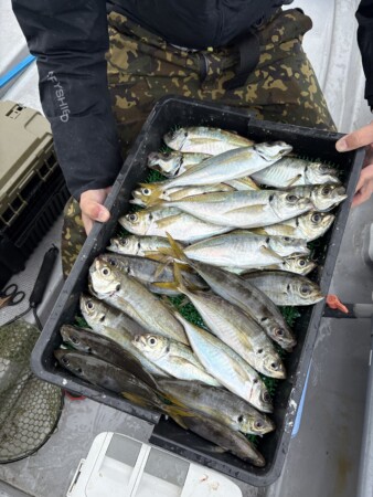 釣果写真