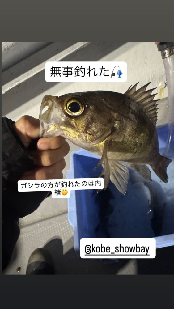 釣果写真