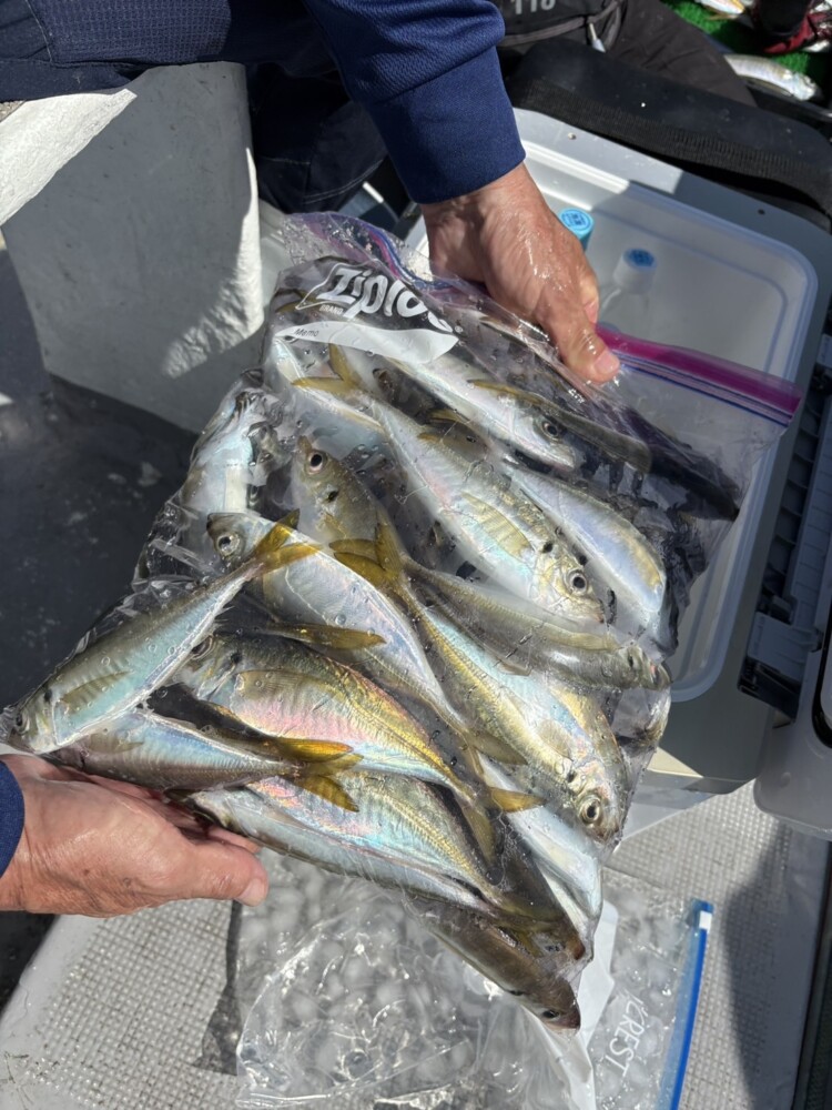 釣果写真