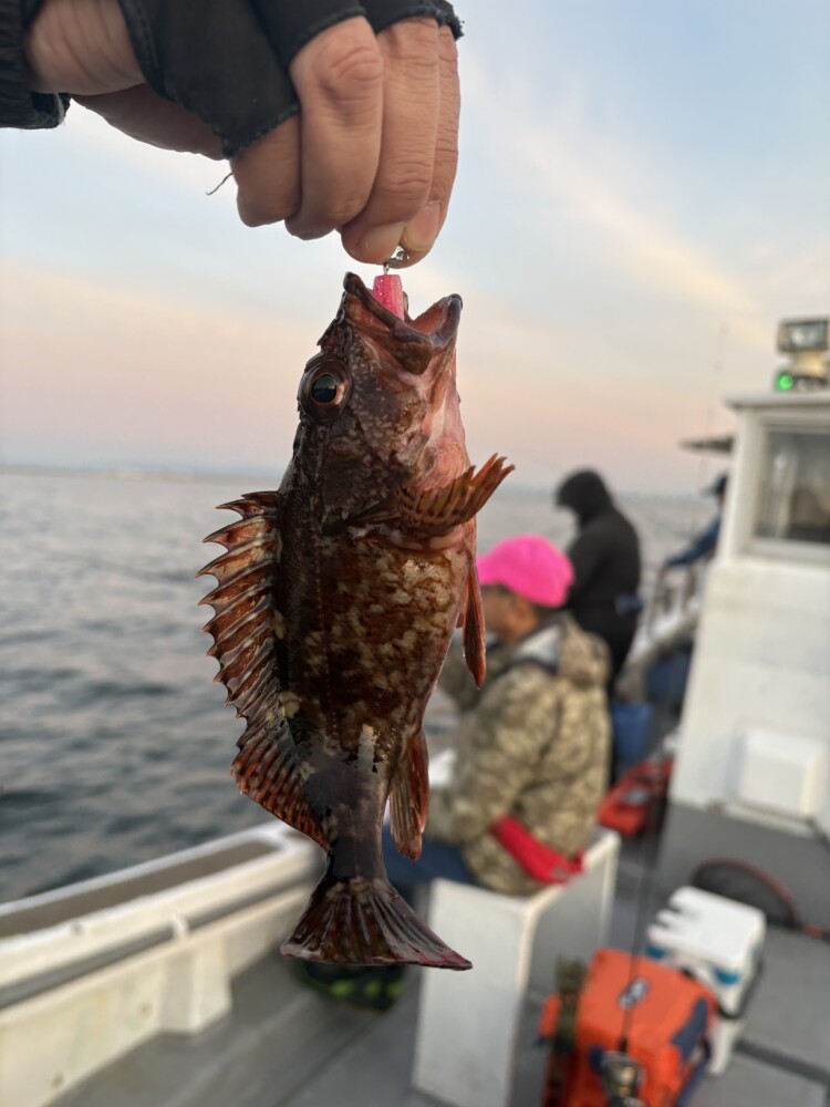 釣果写真