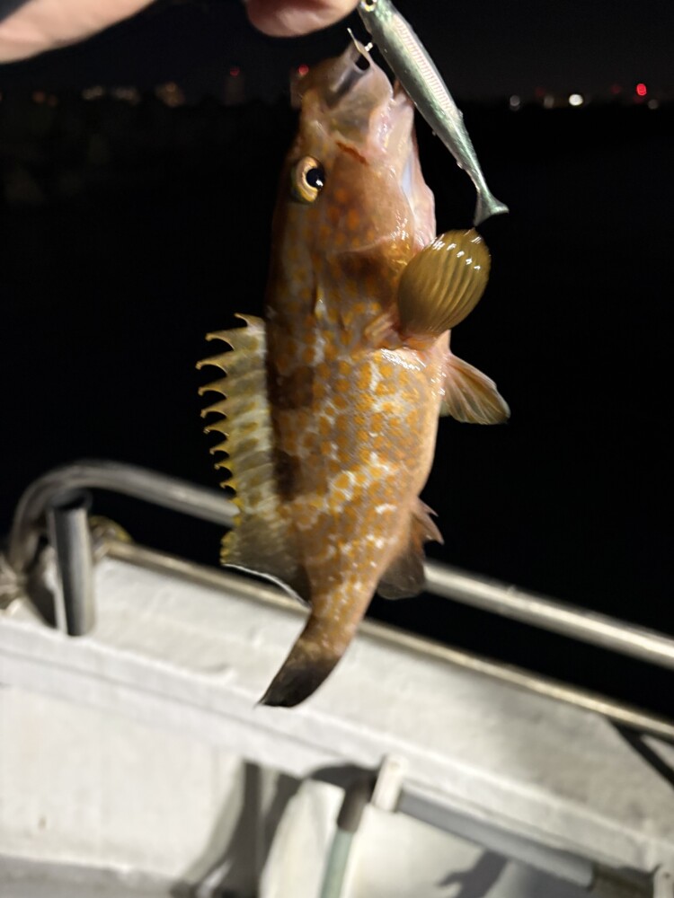 釣果写真