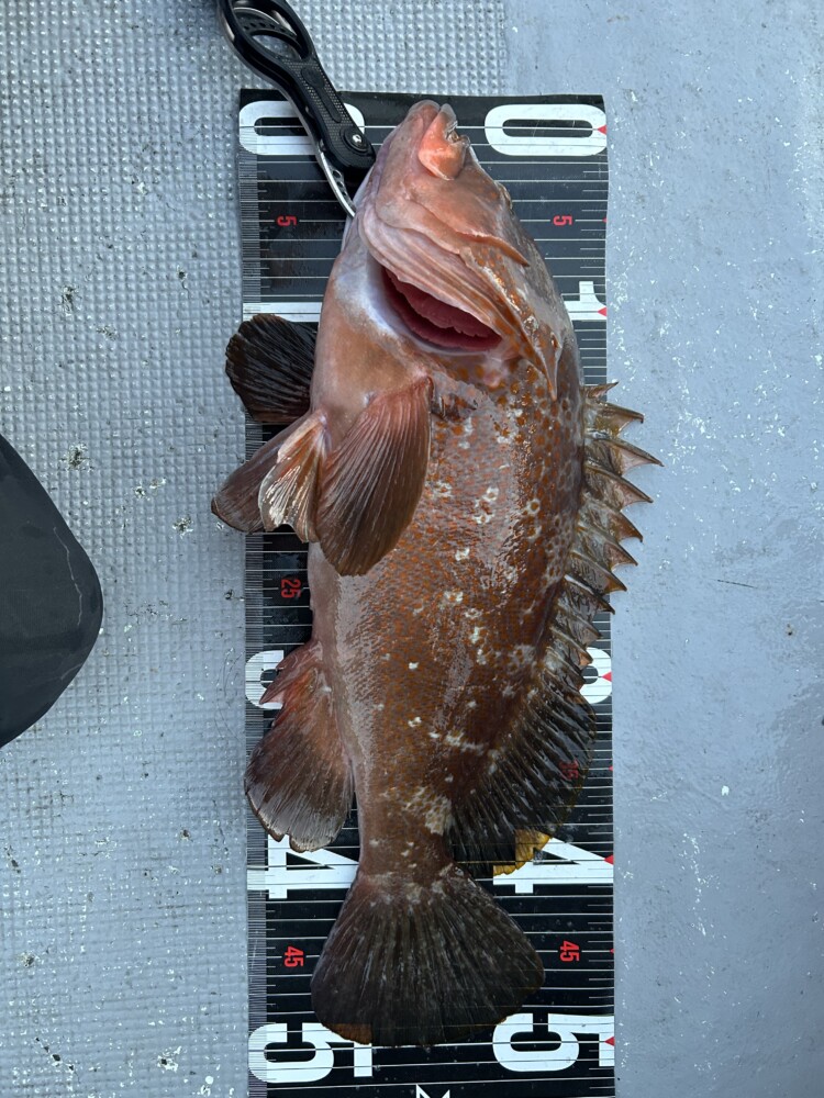 釣果写真