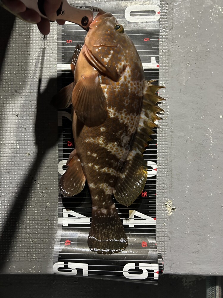 釣果写真