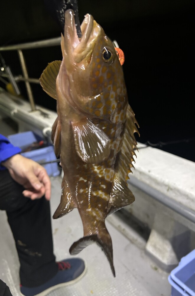 釣果写真