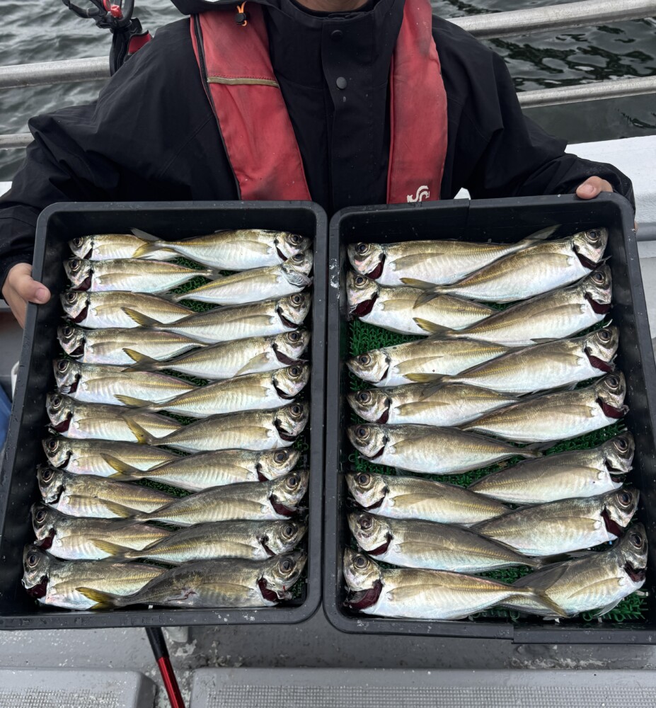 釣果写真