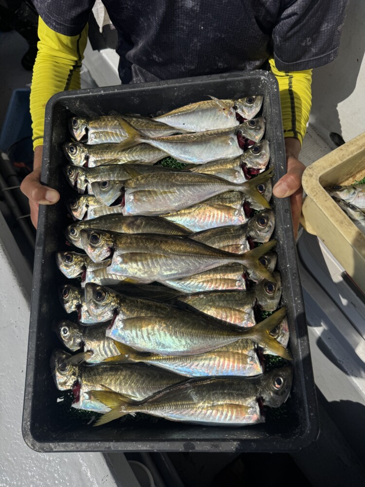 釣果写真