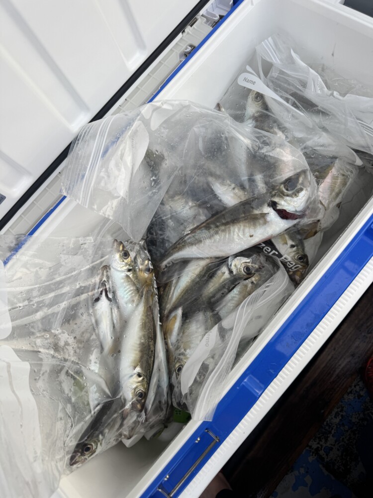 釣果写真