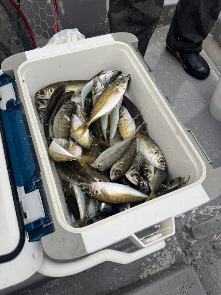釣果写真
