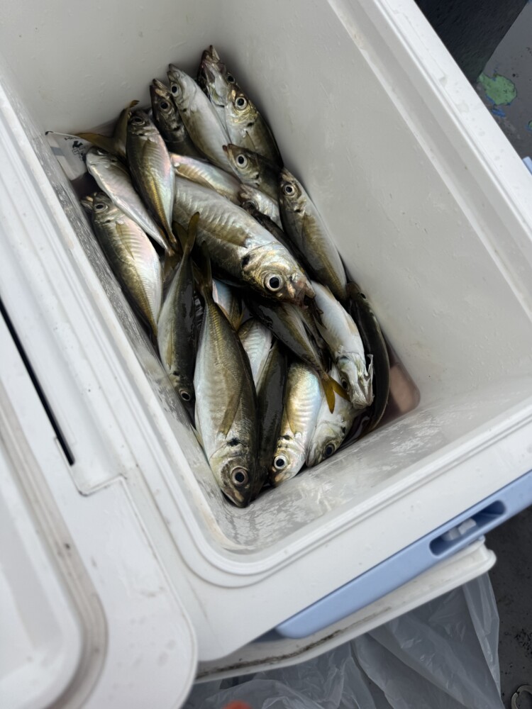 釣果写真