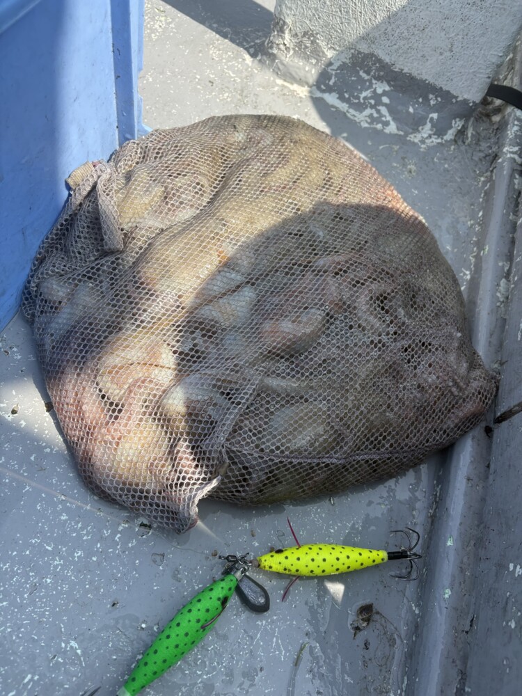 釣果写真