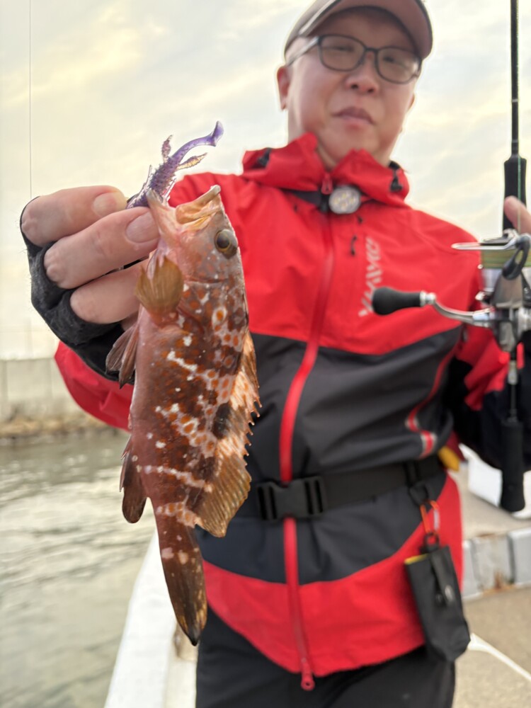 釣果写真