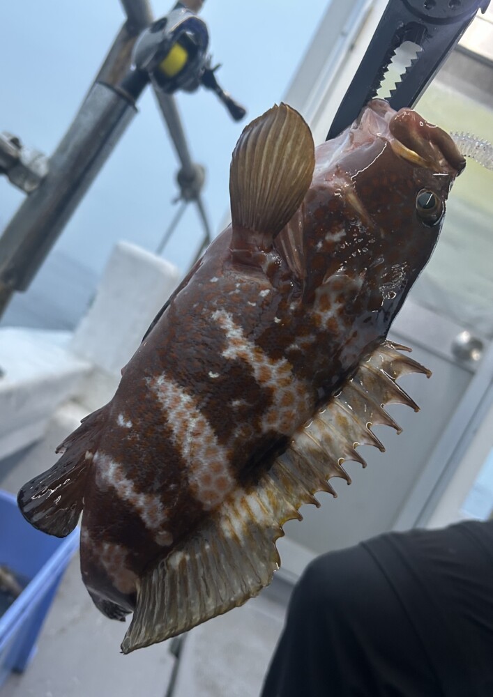 釣果写真