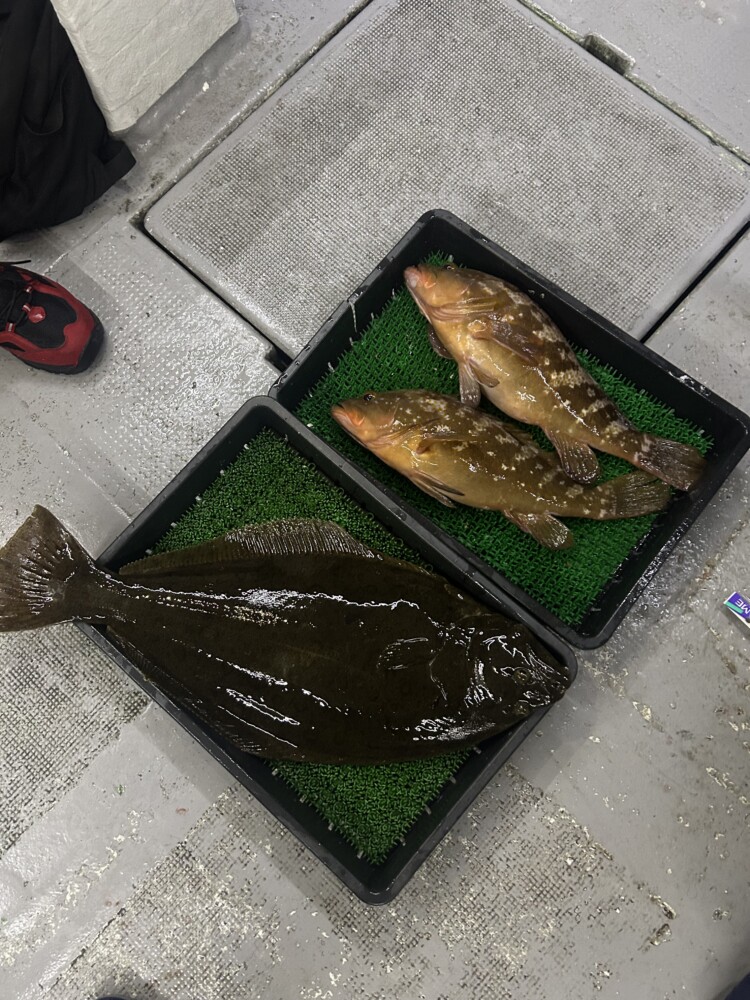 釣果写真
