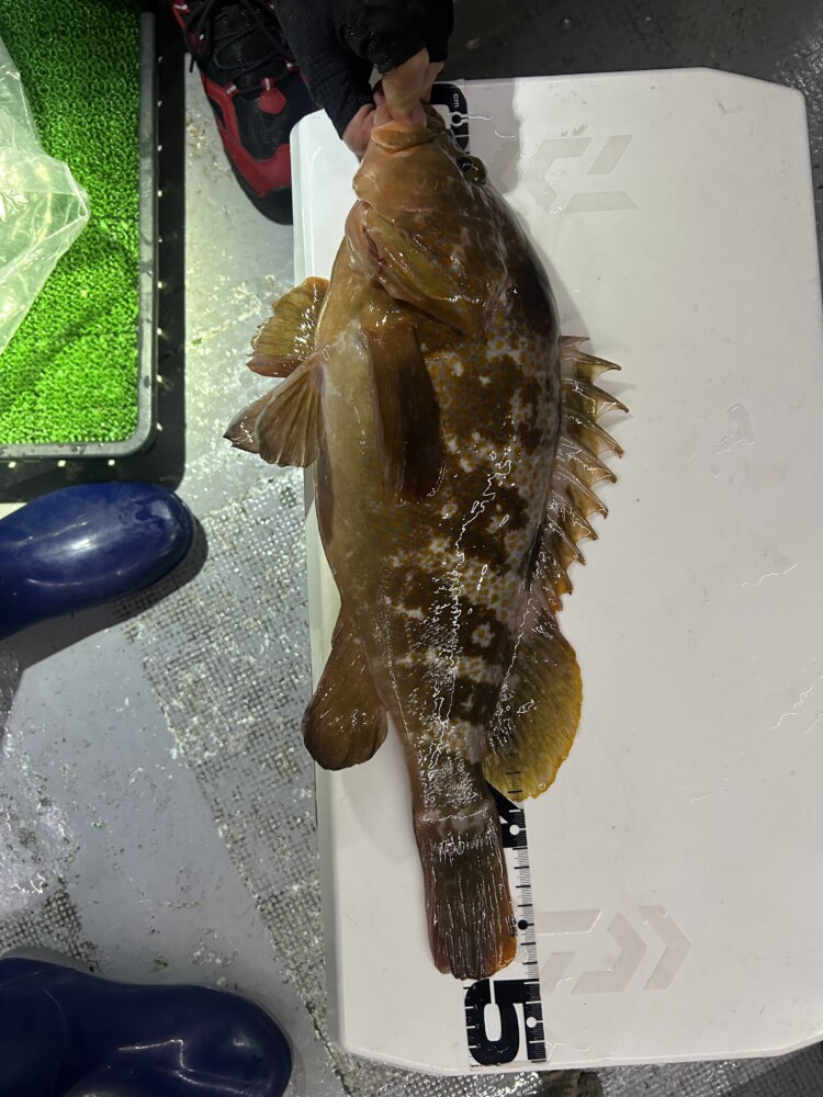 釣果写真