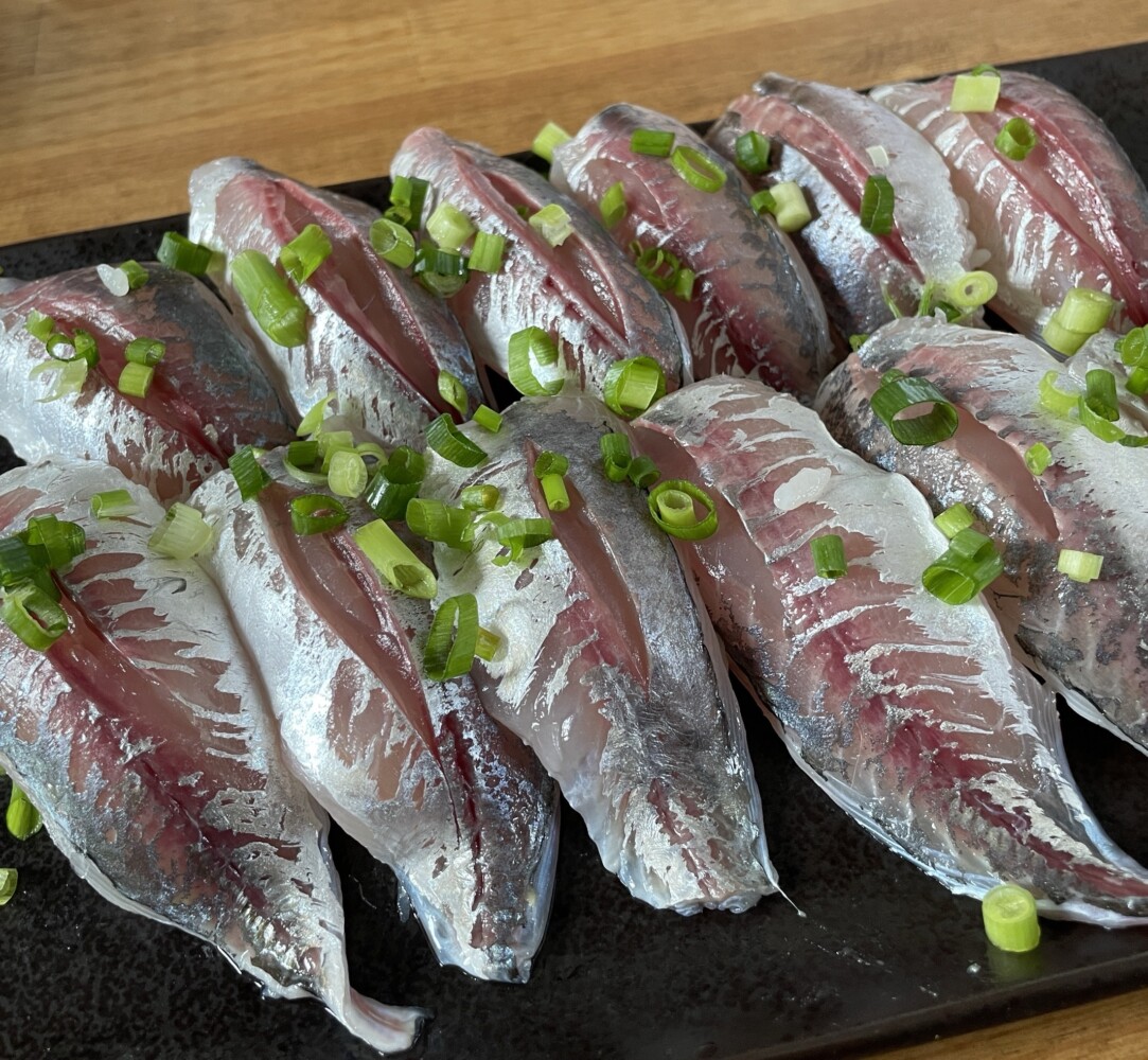 釣果写真