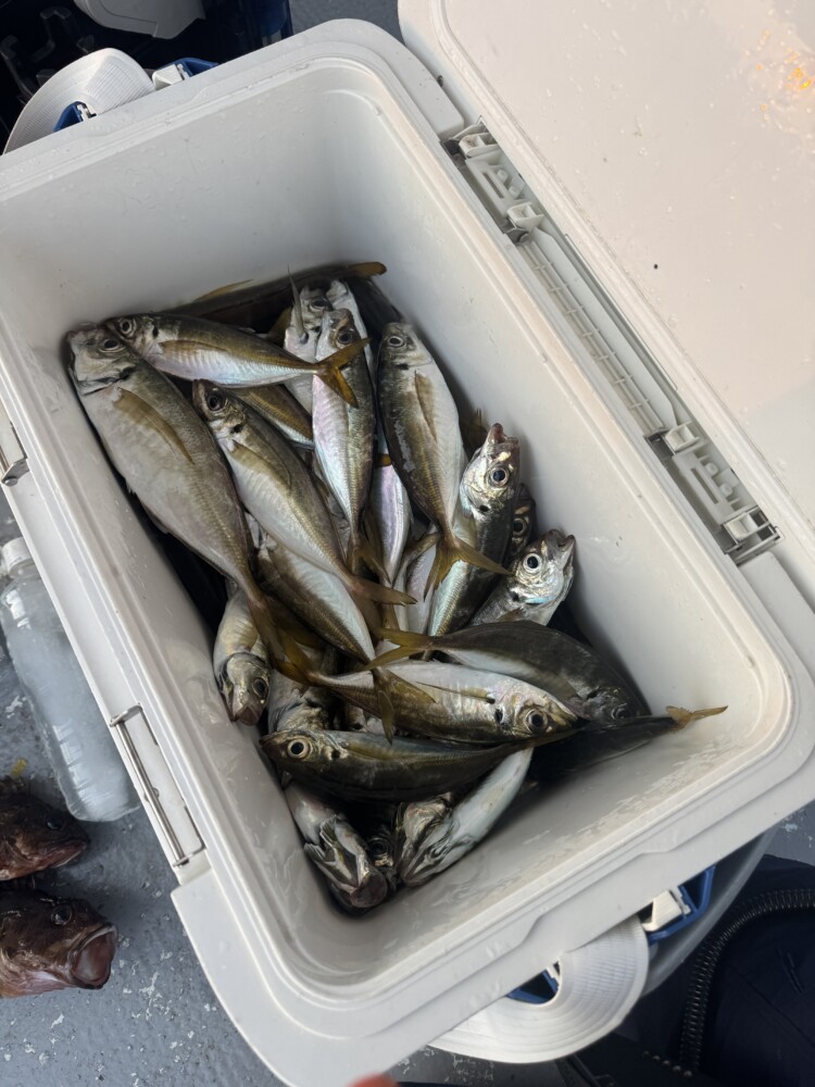 釣果写真