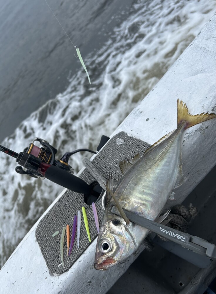 釣果写真