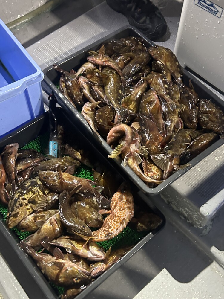 釣果写真